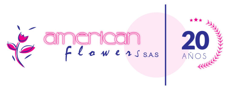 American flowers – Exportador de hydrangeas de excelente calidad